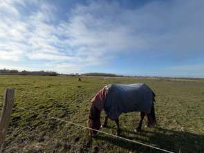 Vente Terrain 3089 m&sup2;Penmarch