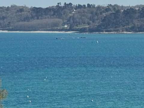 Vente de terrain Perros-Guirec 22
