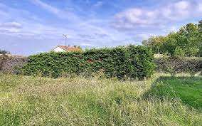Vente Terrain 450 m&sup2;Perros-Guirec