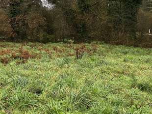 Photo Vente de terrain Persquen