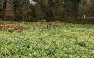 Photo Vente de terrain Persquen