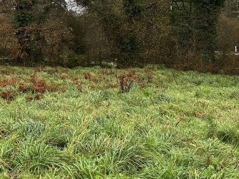 Vente de terrain Persquen 56