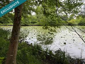 Vente Terrain 4457 m&sup2;Petit-Auverné