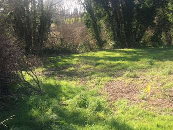Vente Terrain 6558 m&sup2;Peumérit