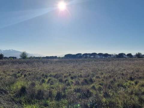 Vente de terrain Peyrestortes 66