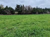 Vente de terrain