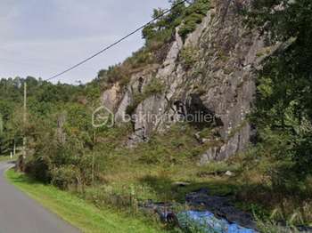 Vente Terrain 30000 m&sup2;Pierrefitte-en-Cinglais