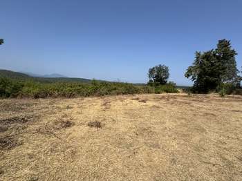 Vente Terrain 1839 m&sup2;Pietroso