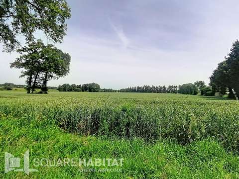 Vente de terrain Pipriac 35