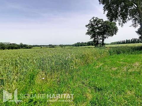 Vente de terrain