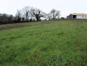Vente Terrain 1940 m&sup2;Pissotte