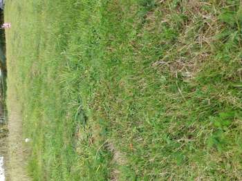 Vente Terrain 441 m&sup2;Plaintel