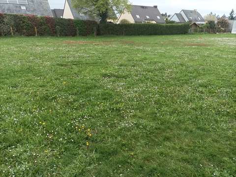 Vente de terrain