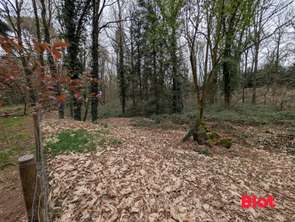 Vente Terrain 8922 m&sup2;Pléchâtel