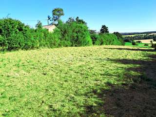 Vente de terrain