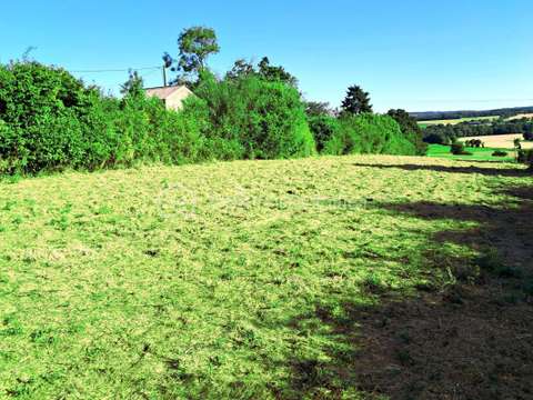 Vente de terrain