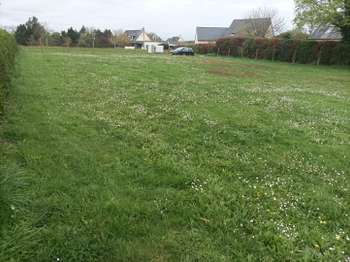 Vente de terrain