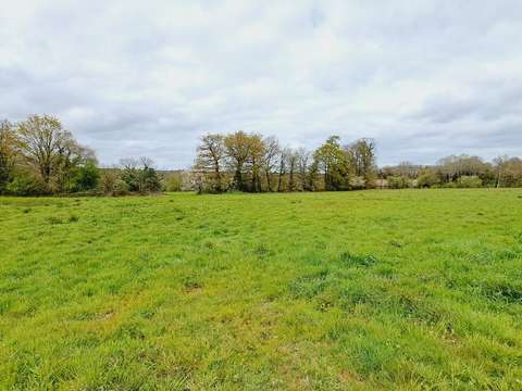 Vente de terrain