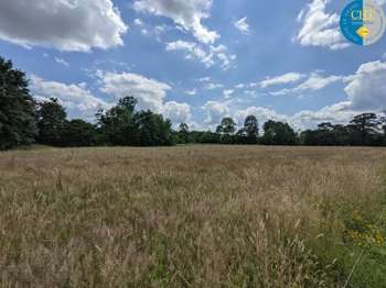 Vente Terrain 15150 m&sup2;Plélan-le-Grand