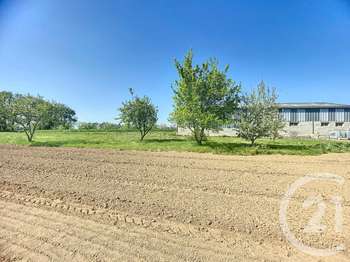 Vente de terrain