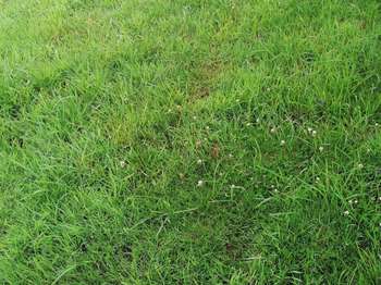 Vente Terrain 435 m&sup2;Plélo