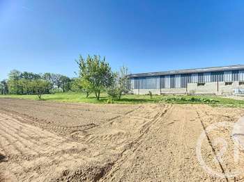 Vente de terrain