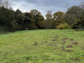 Vente Terrain 1169 m&sup2;Plémet