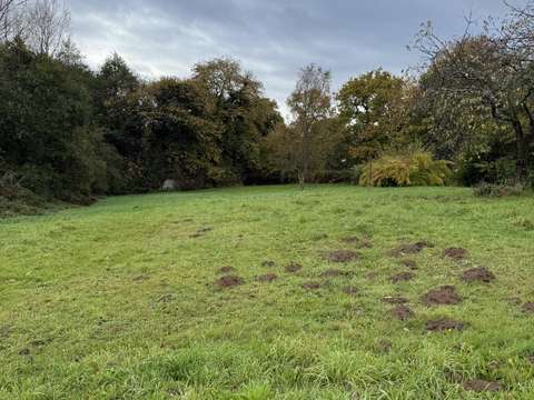 Vente de terrain Plémet 22