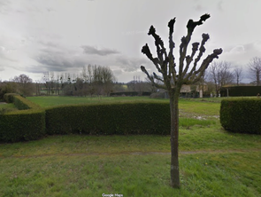 Vente Terrain 1012 m&sup2;Plénée-Jugon