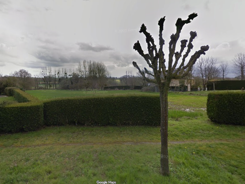 Vente de terrain Plénée-Jugon 22