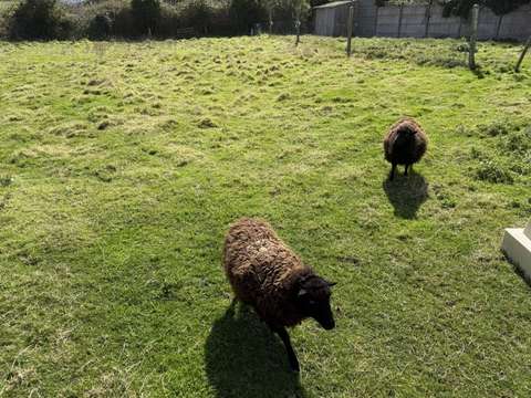 Vente de terrain Pléneuf-Val-André 22