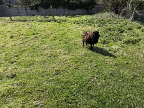 Vente de terrain Pléneuf-Val-André 22