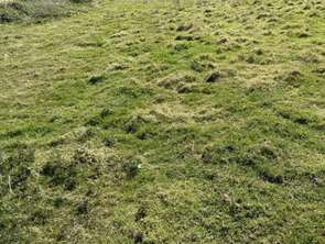 Vente Terrain 654 m&sup2;Pléneuf-Val-André