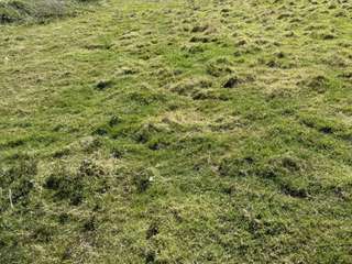 Vente de terrain