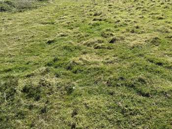 Vente de terrain Pléneuf-Val-André 22