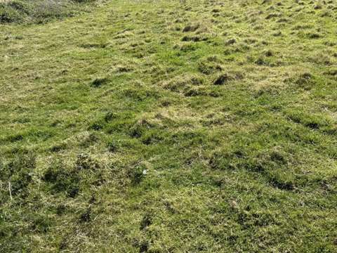 Vente de terrain Pléneuf-Val-André 22