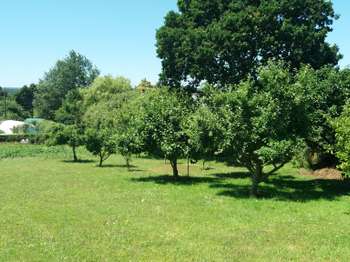 Vente Terrain 1340 m&sup2;Pléneuf-Val-André