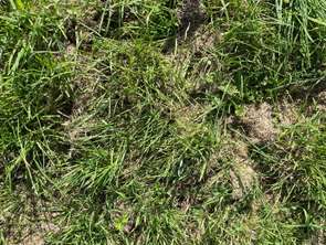 Vente Terrain 943 m&sup2;Plérin