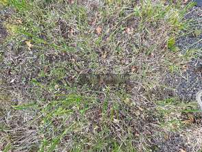 Vente Terrain 1234 m&sup2;Plérin