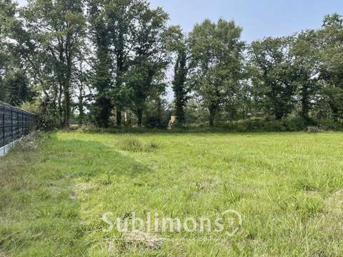 Vente de terrain