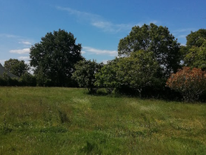 Vente Terrain 3727 m&sup2;Plessé