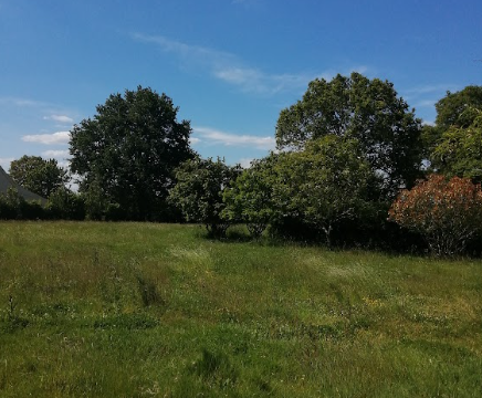 Vente de terrain Plessé 44