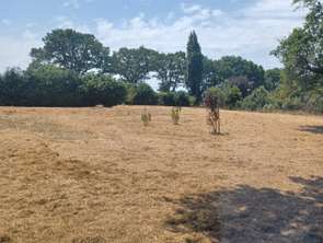 Vente Terrain 3370 m&sup2;Plessé