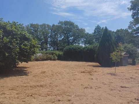 Vente de terrain