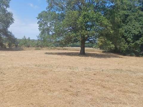 Vente de terrain