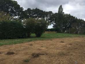 Vente Terrain 3770 m&sup2;Plessé