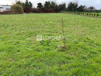 Vente de terrain