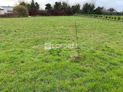 Vente de terrain Pleubian 22