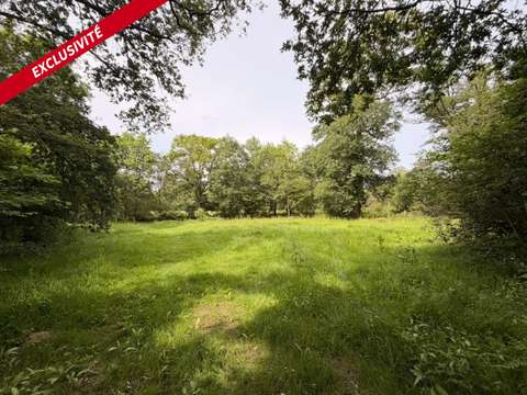 Vente de terrain Pleucadeuc 56