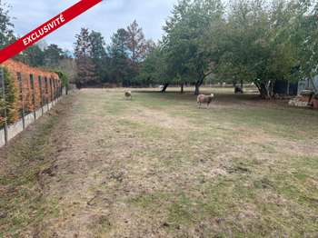 Vente Terrain 3240 m&sup2;Pleucadeuc